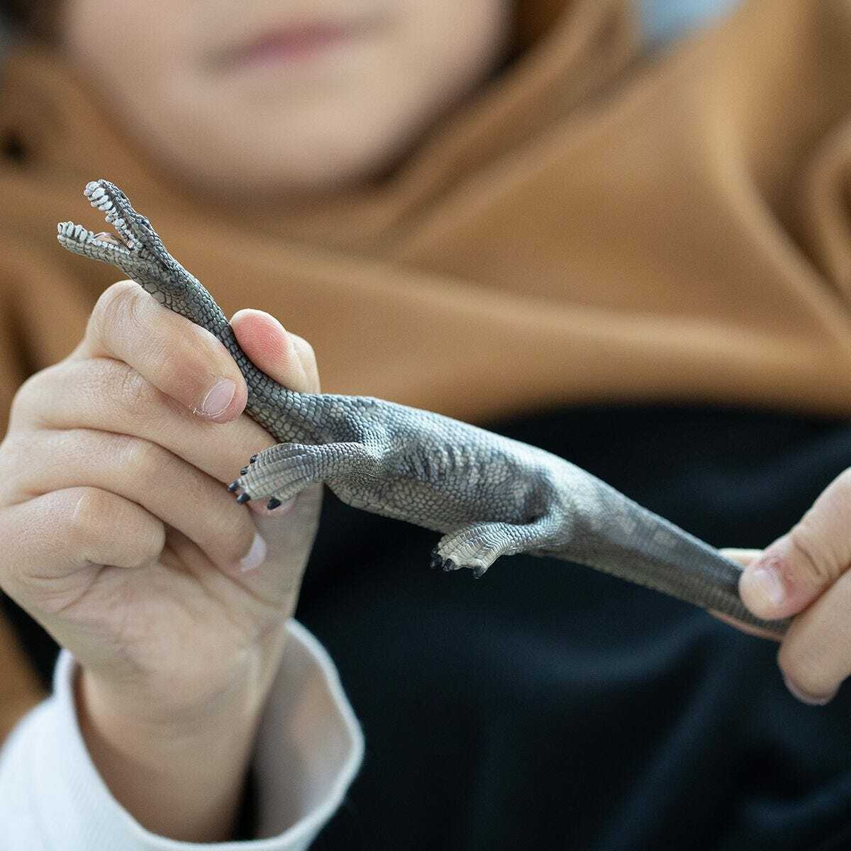 Nothosaurus - Image 3