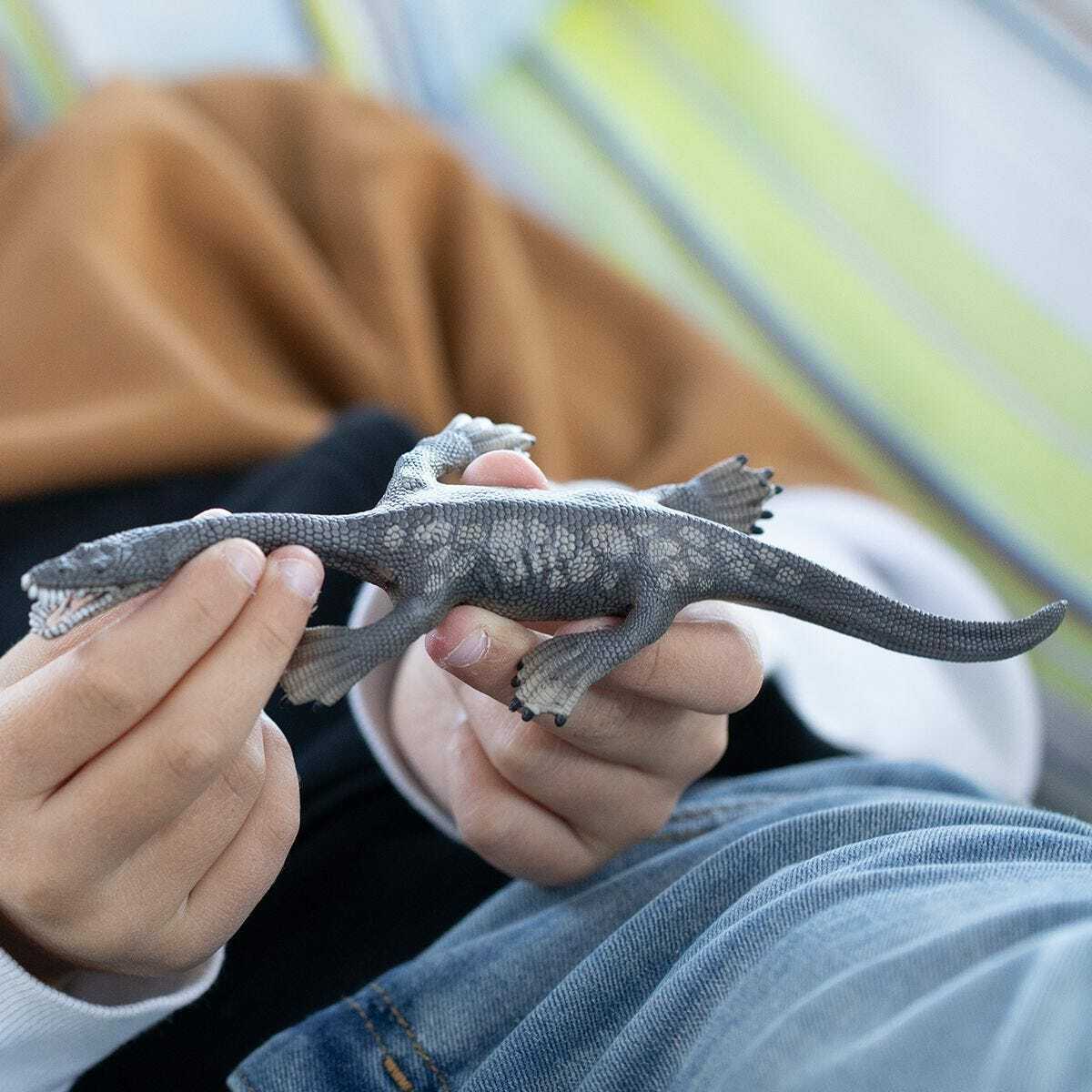 Nothosaurus - Image 4