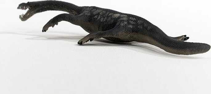 Nothosaurus - Image 5