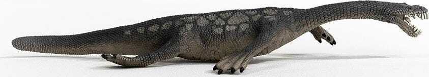 Nothosaurus - Image 6