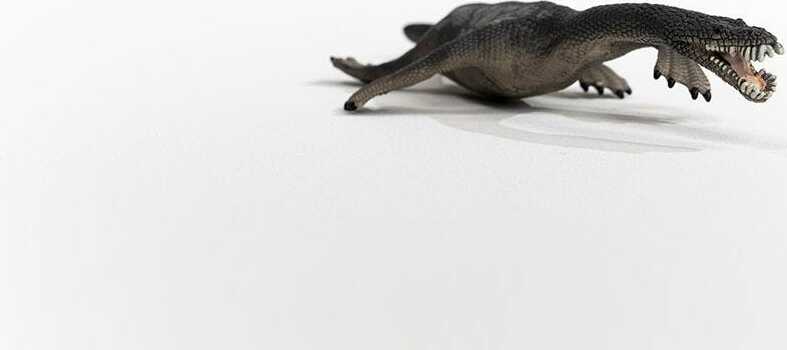 Nothosaurus - Image 7