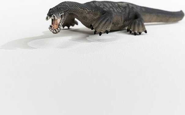 Nothosaurus - Image 8