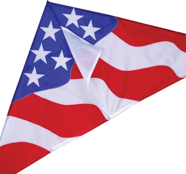 Patriotic 55" Delta - Image 4