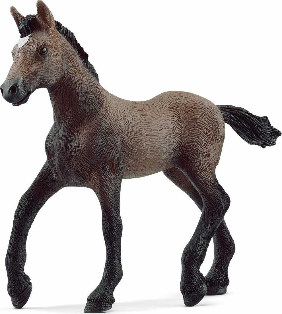 Peruvian Paso Foal - Image 2