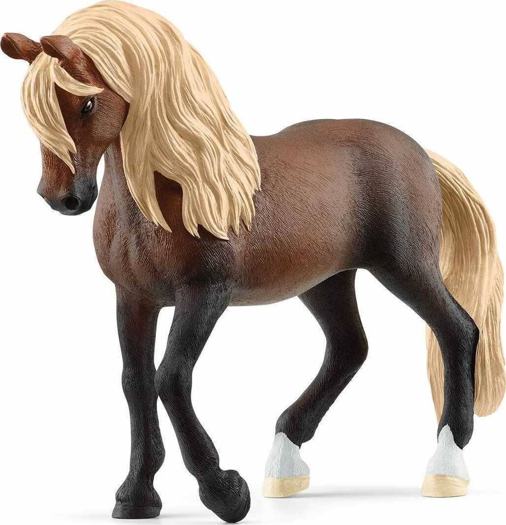 Peruvian Paso Stallion - Image 2