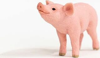 Piglet - Image 2