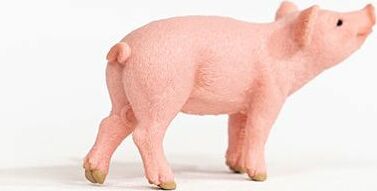 Piglet - Image 4