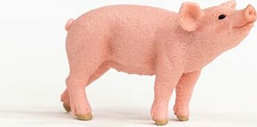 Piglet - Image 5