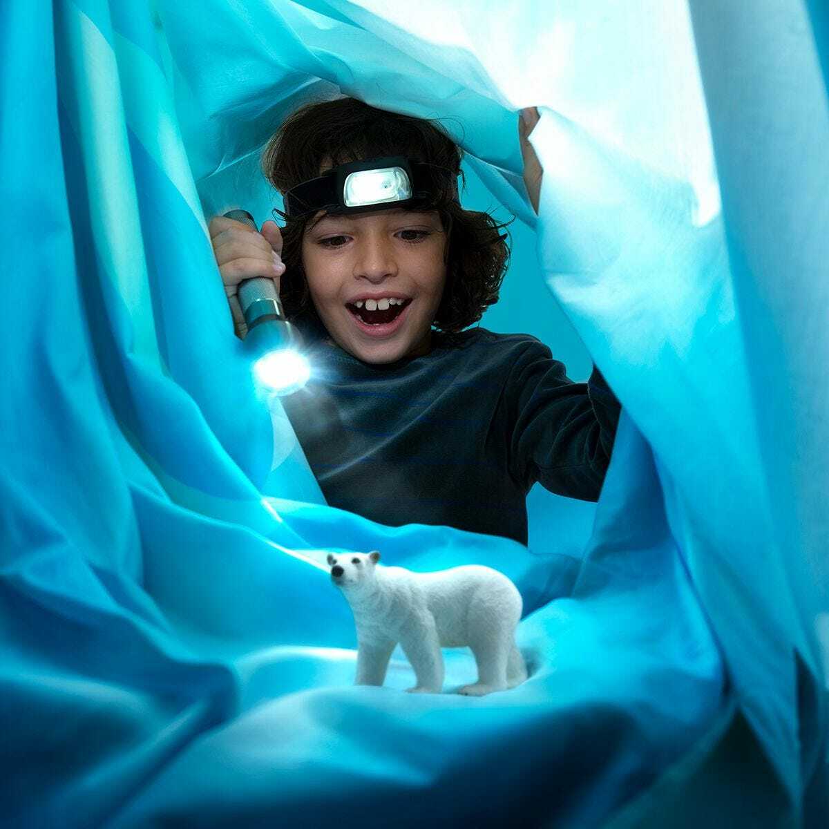 Polar Bear - Image 2