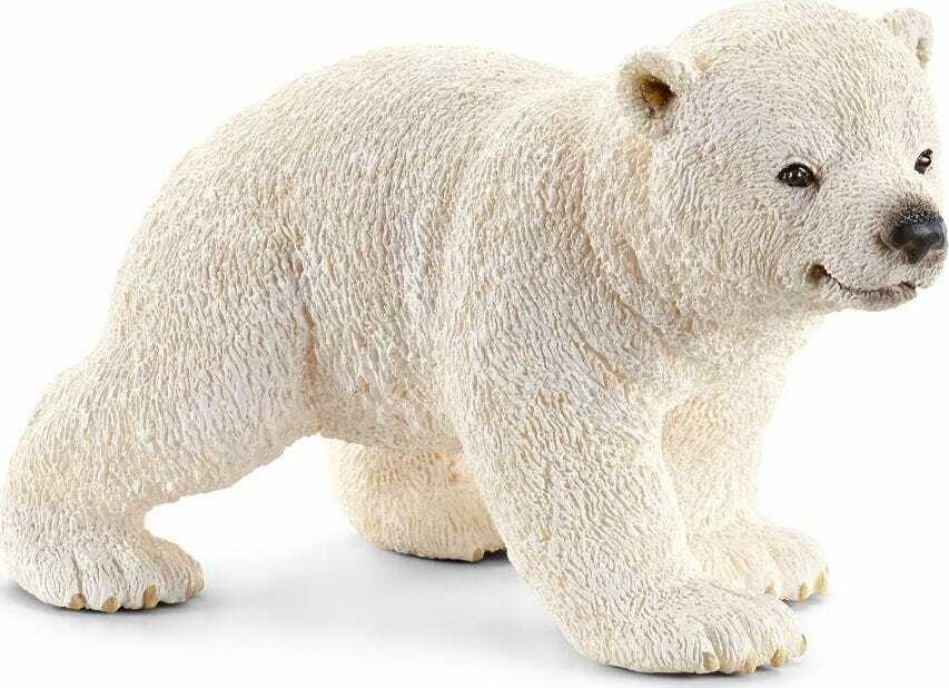 Polar bear cub, walking - Image 2