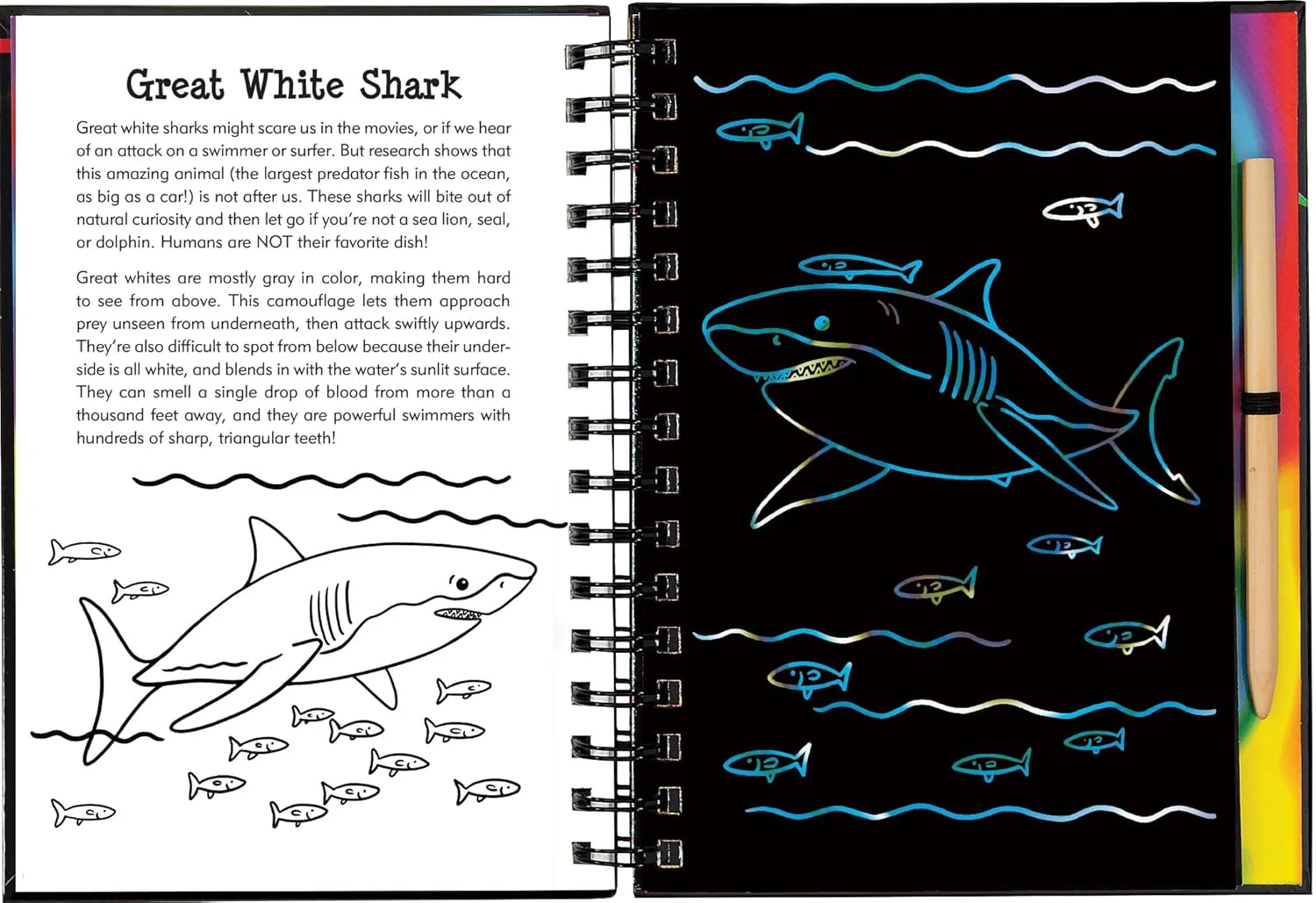 Scratch & Sketch Sharks - Image 2