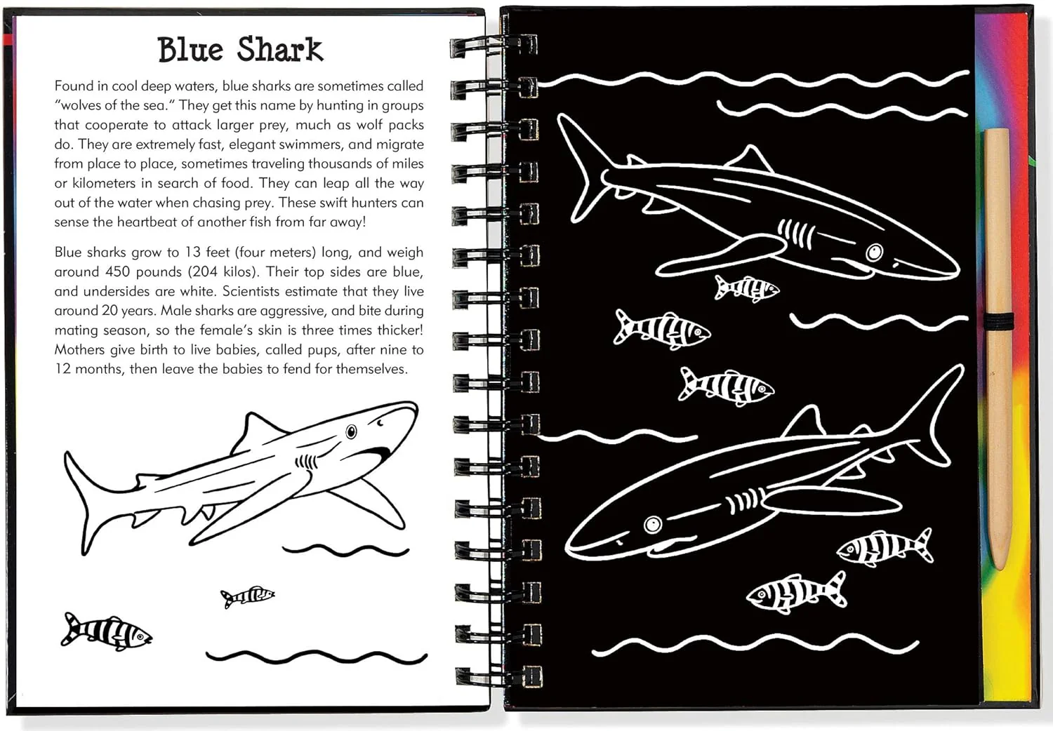 Scratch & Sketch Sharks - Image 3