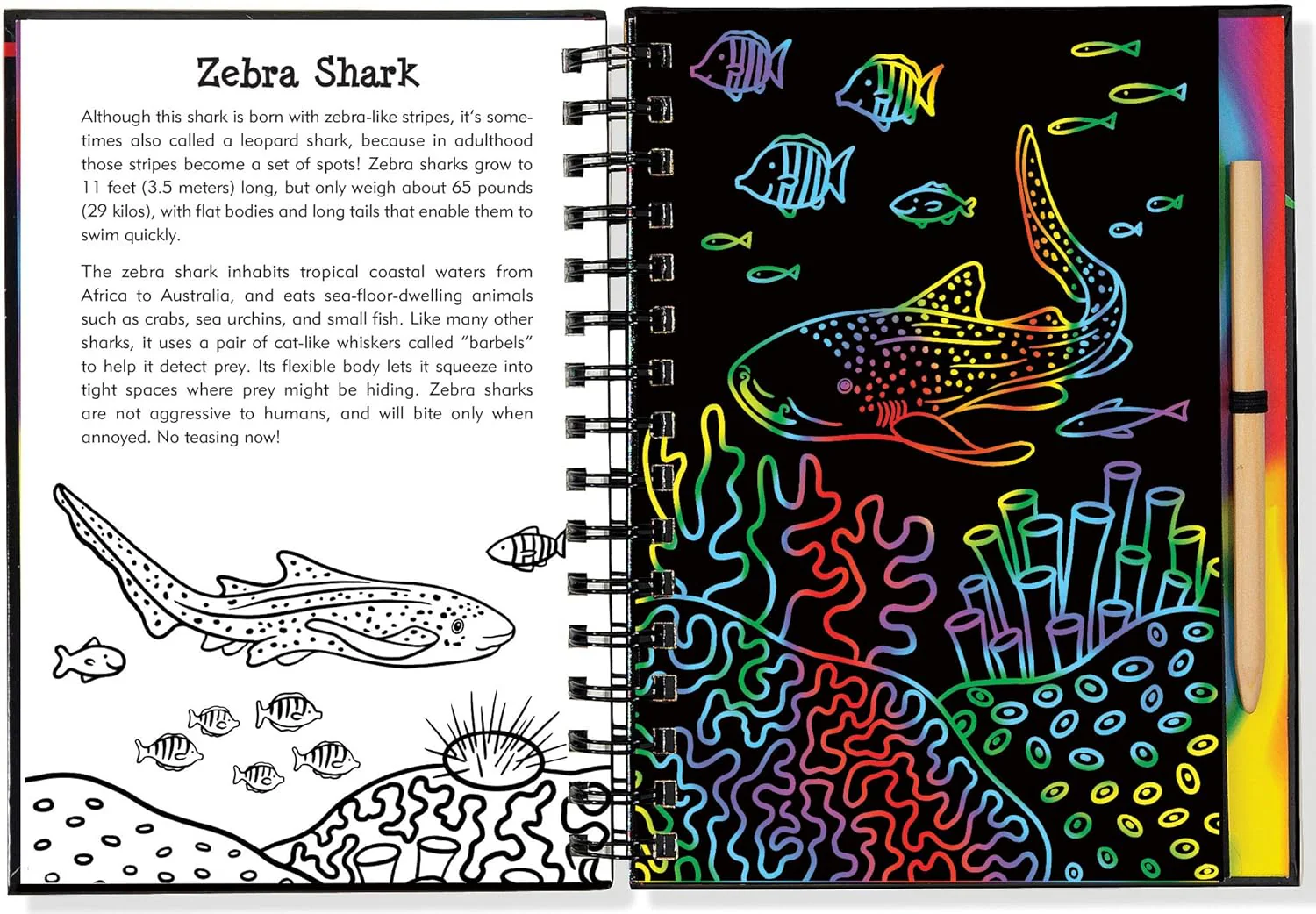 Scratch & Sketch Sharks - Image 4