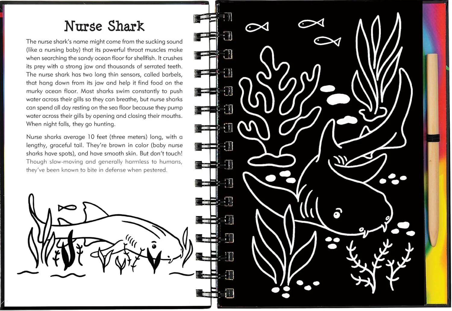 Scratch & Sketch Sharks - Image 5