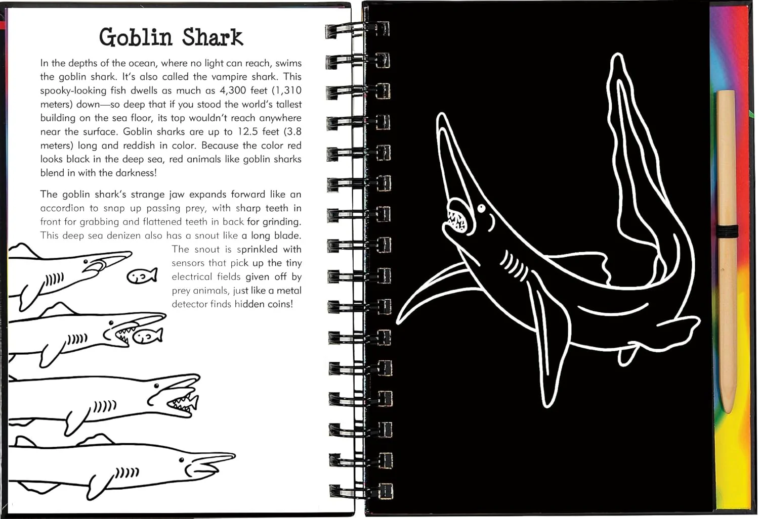 Scratch & Sketch Sharks - Image 6