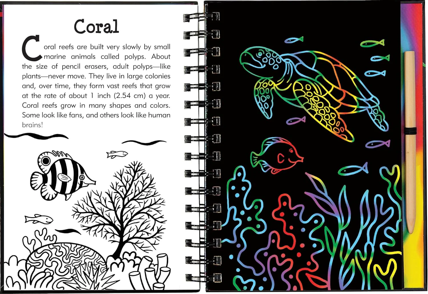 Scratch & Sketch Under The Sea - Image 3
