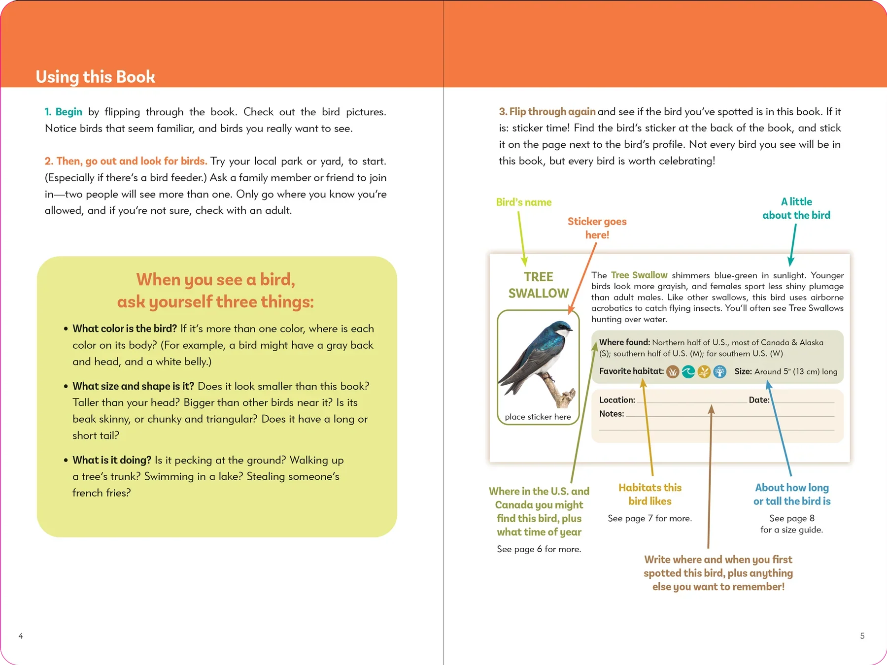 The Birder's Logbook - Image 3
