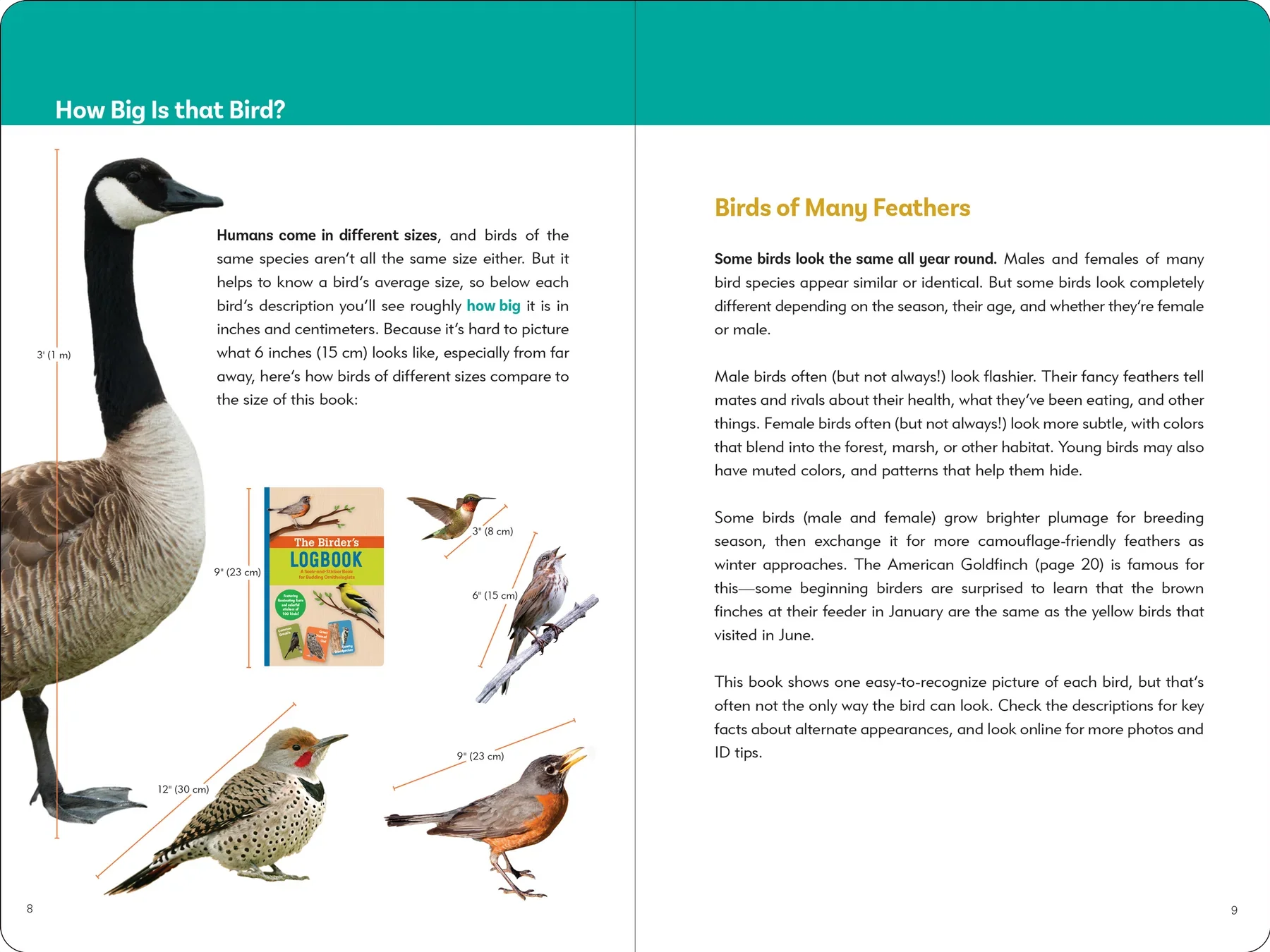 The Birder's Logbook - Image 4