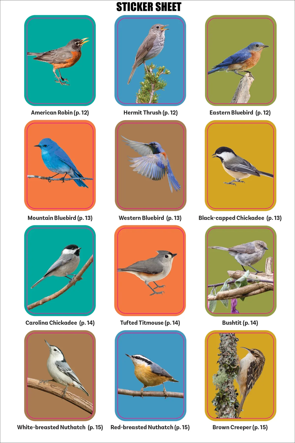 The Birder's Logbook - Image 8