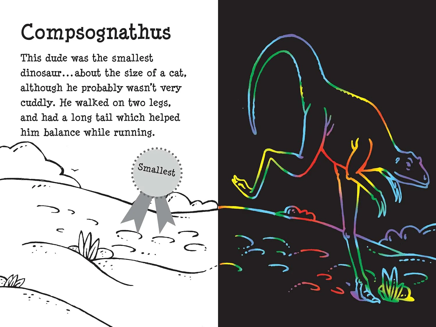 Scratch & Sketch Dino Dudes - Image 3