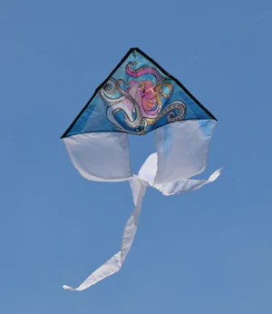Coloring Kite - Octopus - Image 2