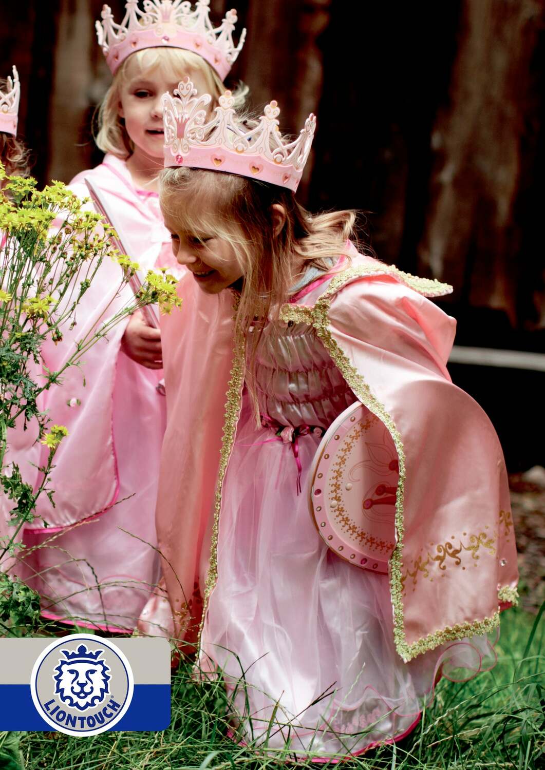 Queen Rosa Crown - Image 2
