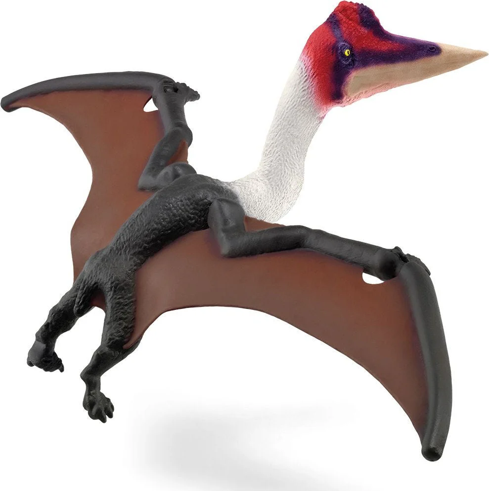 Quetzalcoatlus - Image 4