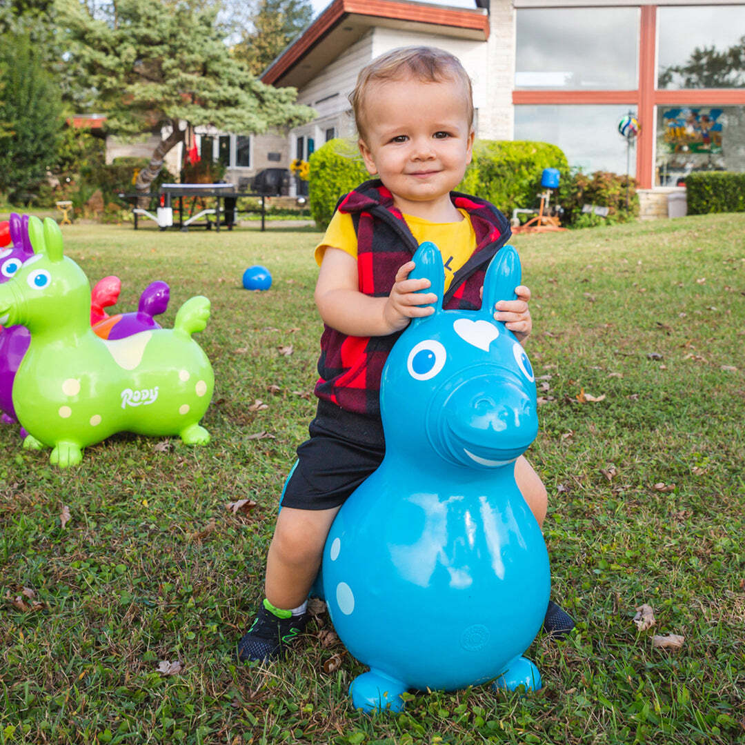 Red Rody Horse - Image 4
