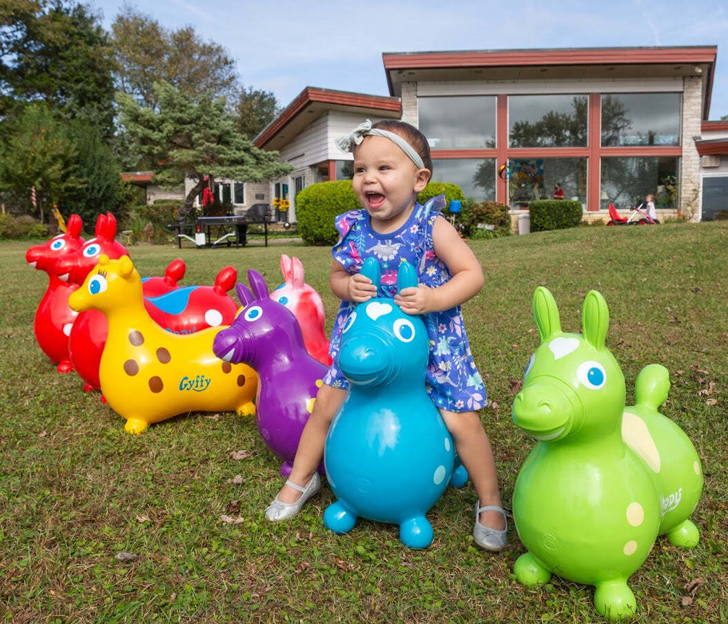 Red Rody Horse - Image 6