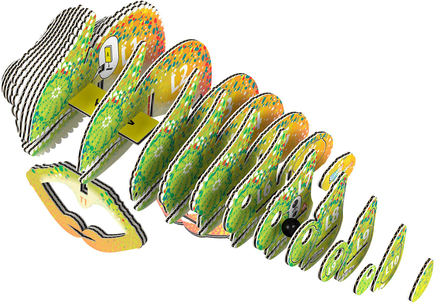 Eugy Chameleon 3D Puzzle - Image 3