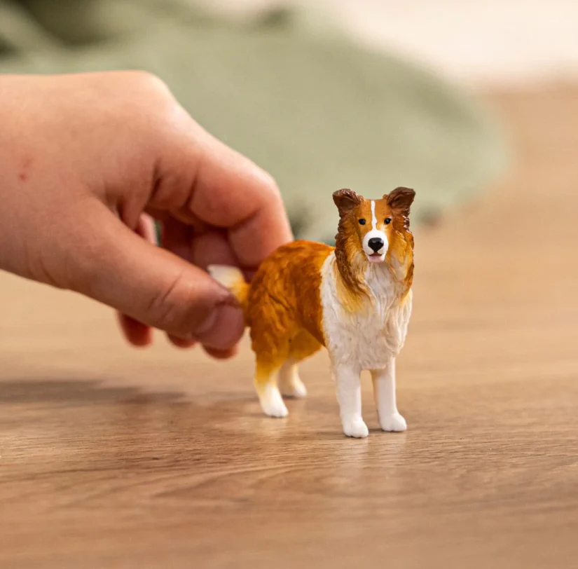Collie - Image 2
