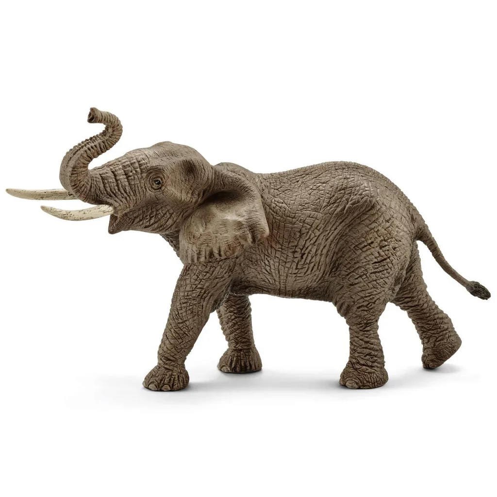 African Elephant Male