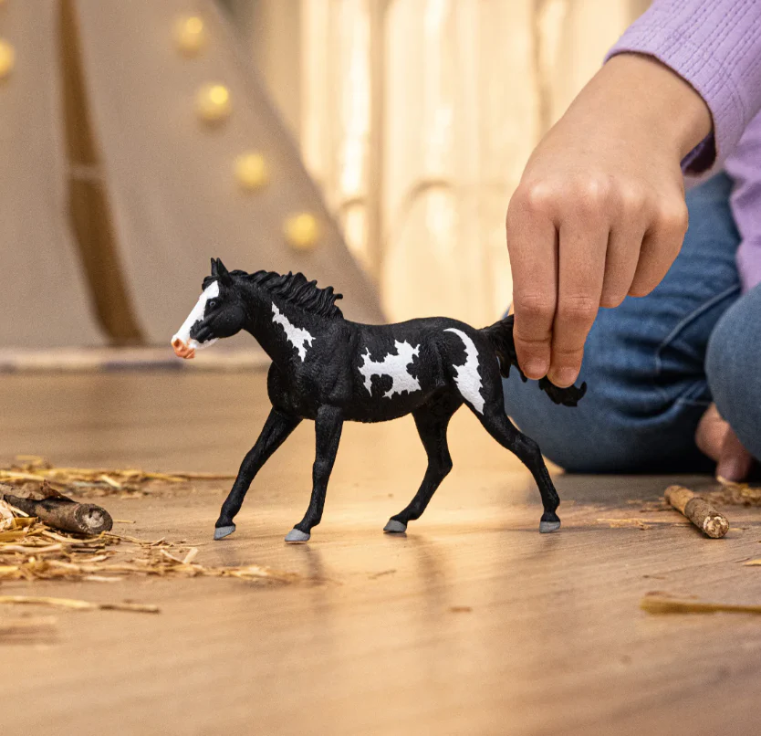 Paint Horse Gelding - Image 2