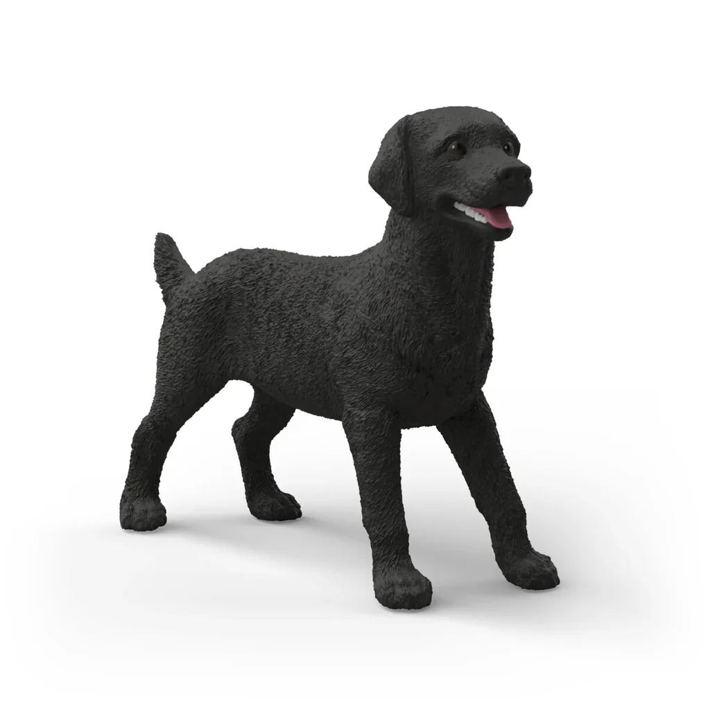 Black Labrador Retriever Female - Image 2