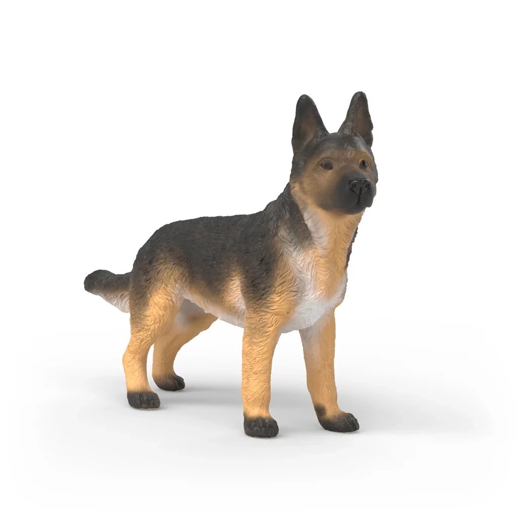 German Sheperd Female - Image 2