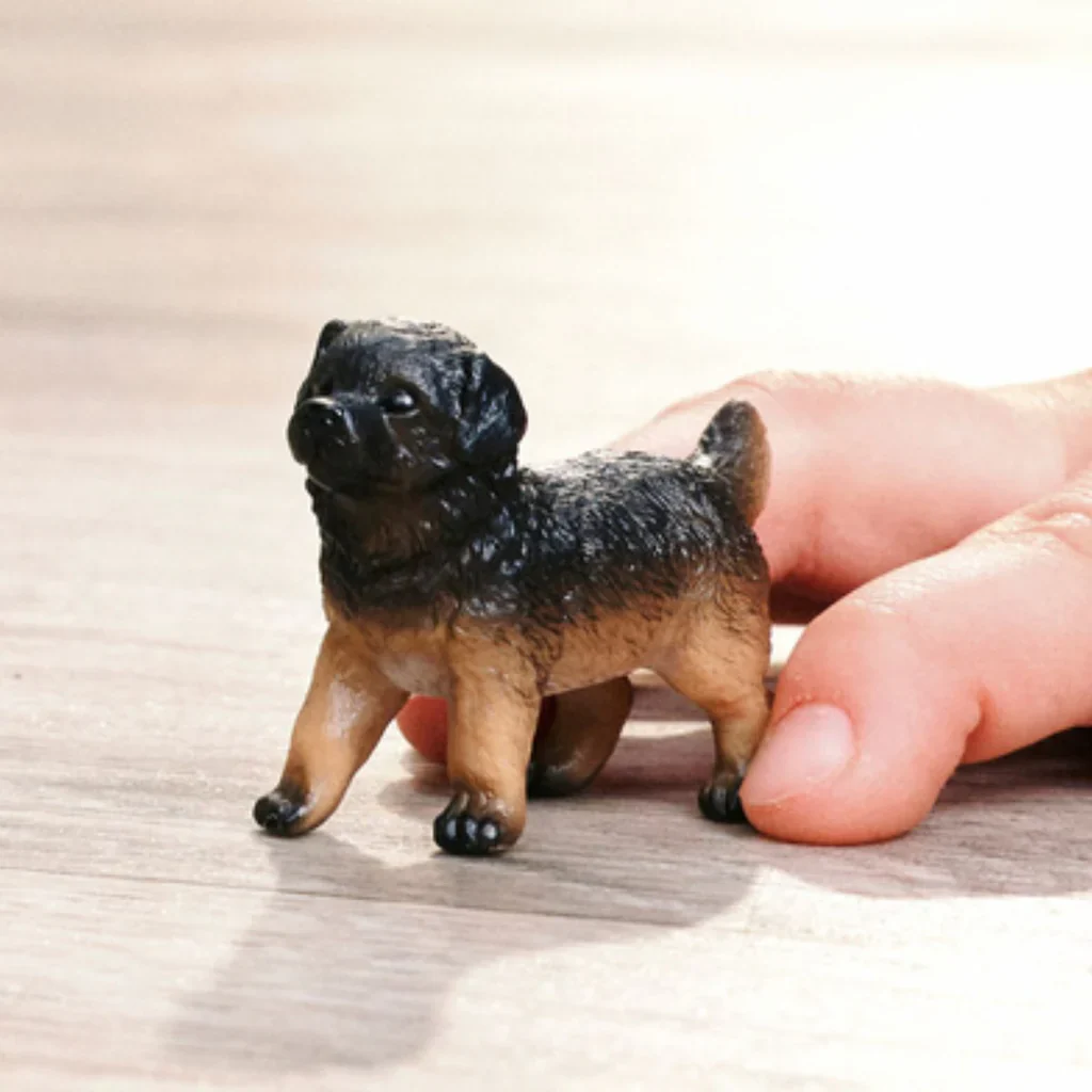 German Shepherd Puppy
