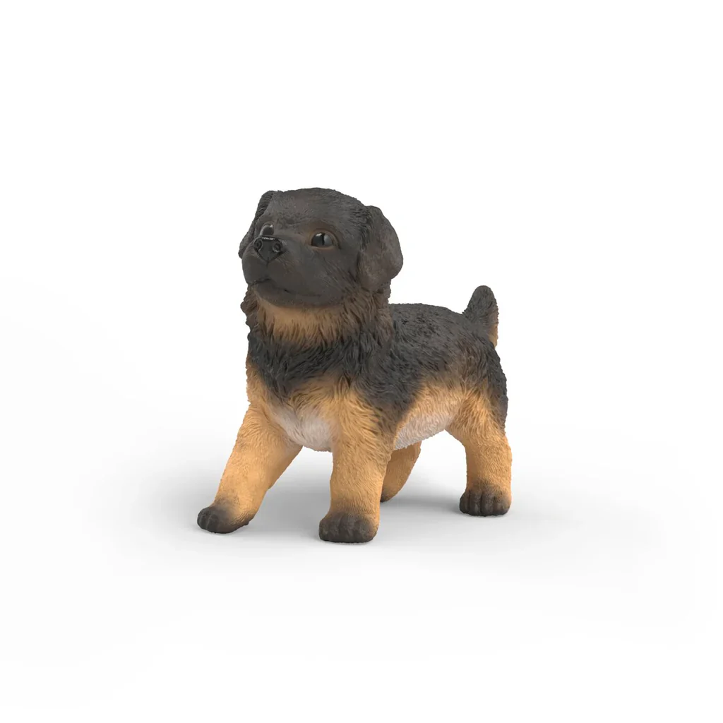 German Shepherd Puppy - Image 2