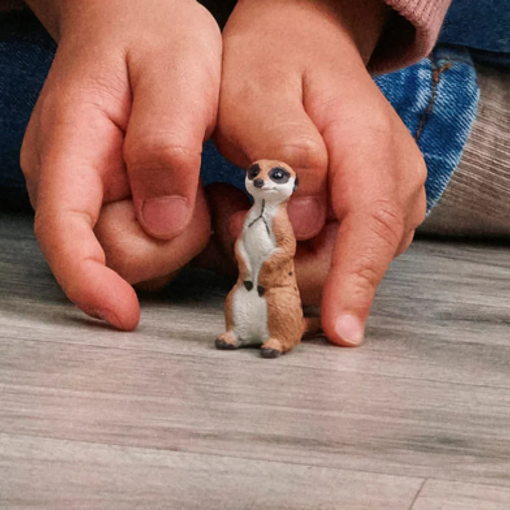 Meercat - Image 2