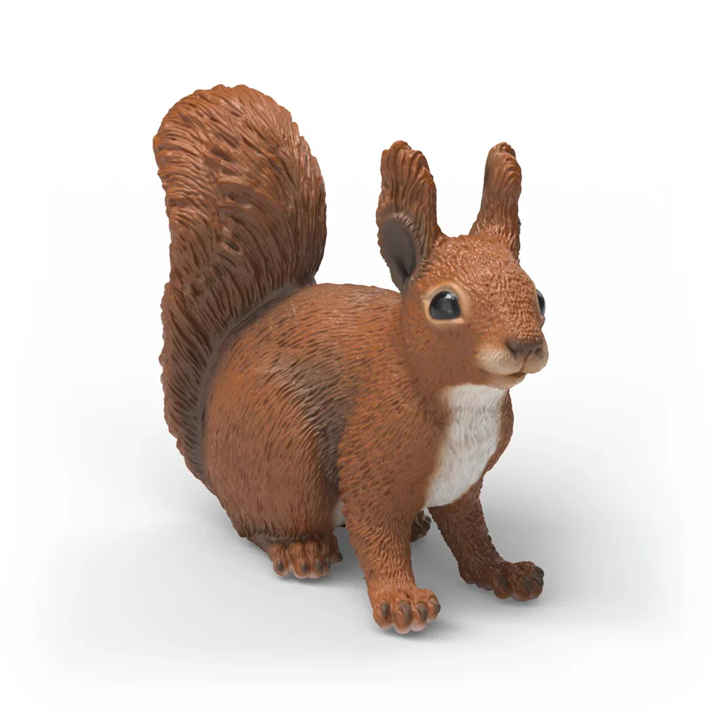 Squirrel