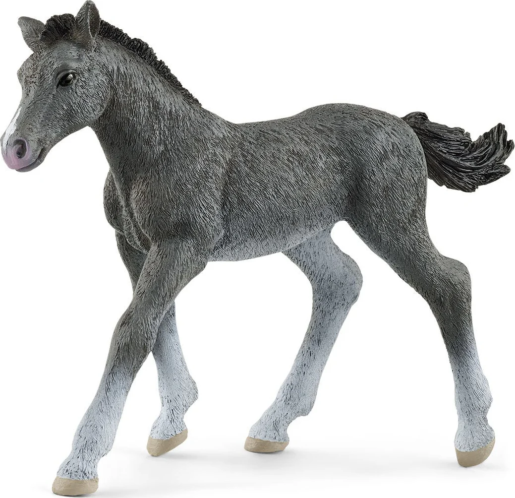 Horse Club Trakehner Foal