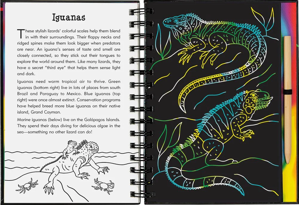 Scratch & Sketch Reptiles & Amphibians - Image 2
