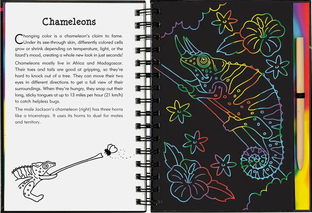 Scratch & Sketch Reptiles & Amphibians - Image 4