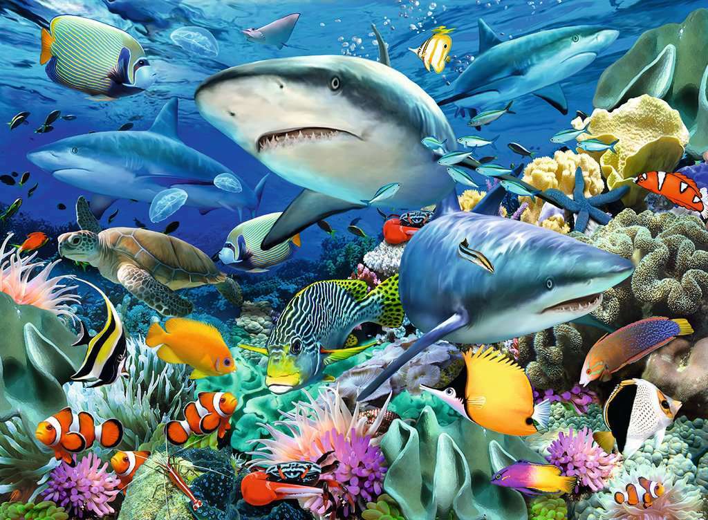 100 pc Shark Reef Puzzle - Image 2