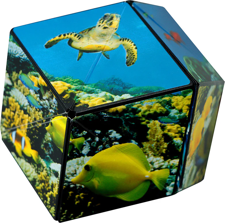 Shashibo - The Shape Shifting Box - Undersea - Image 2