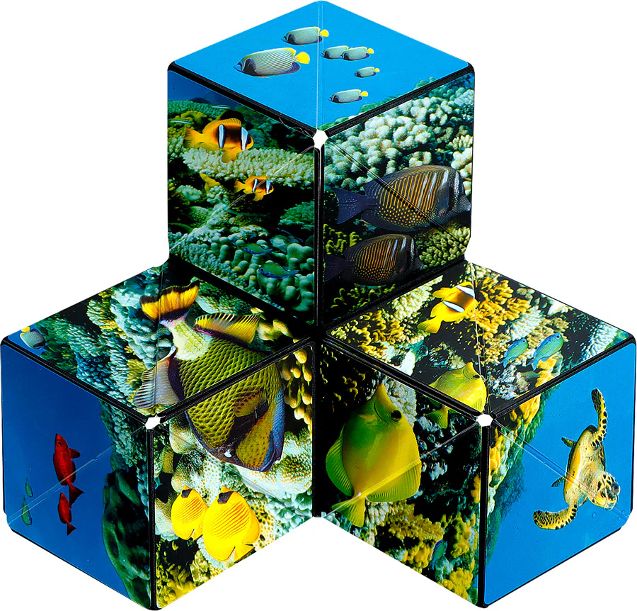 Shashibo - The Shape Shifting Box - Undersea - Image 3