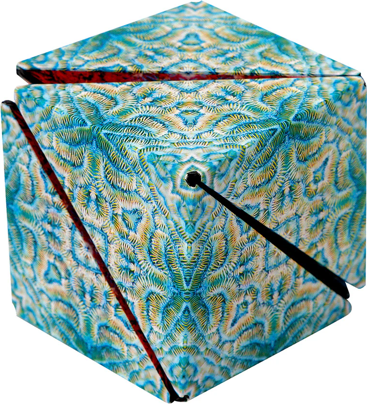Shashibo - The Shape Shifting Box - Undersea - Image 8