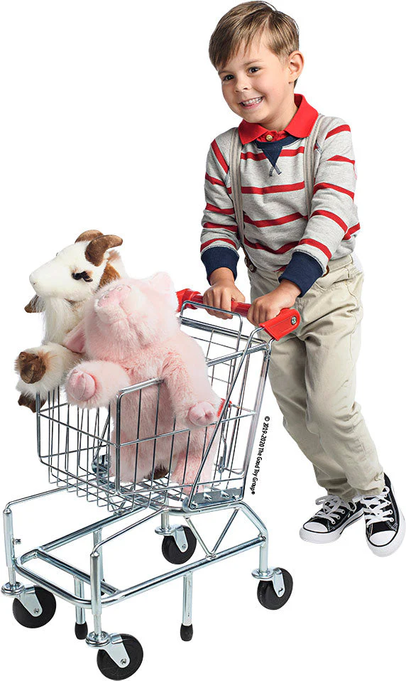 Shopping Cart - Image 2
