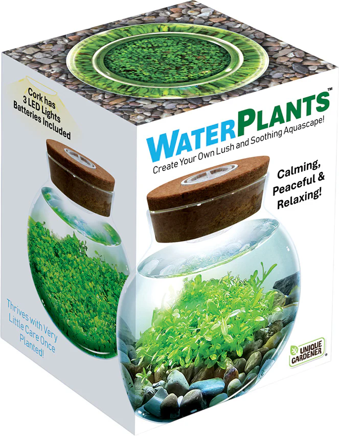 Water Plants - Image 3