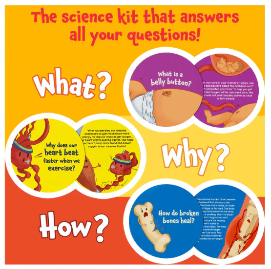 Human Body Science Snippets - Image 4