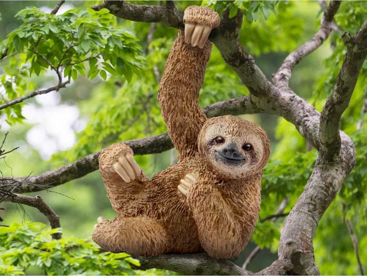 Sloth - Image 2